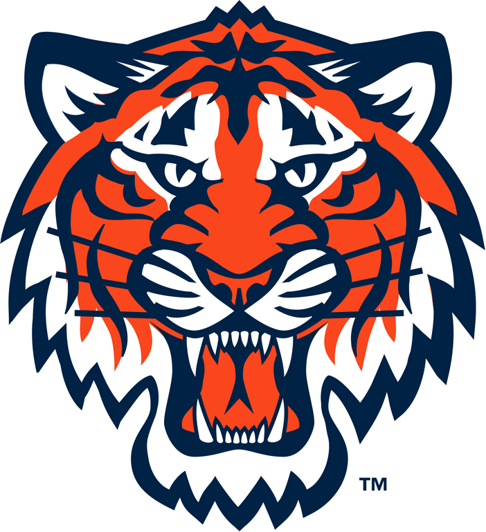 Detroit Tigers 1994-Pres Partial Logo DIY iron on transfer (heat transfer)